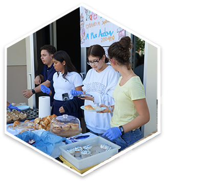 CTA Arts and Electives